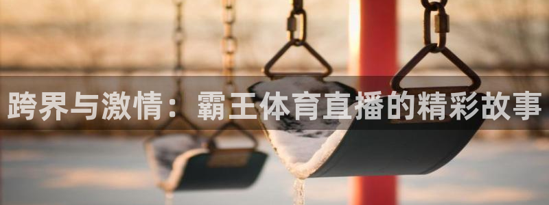 919直播吧体育：跨界与激情：霸王体育直播的精彩故事
