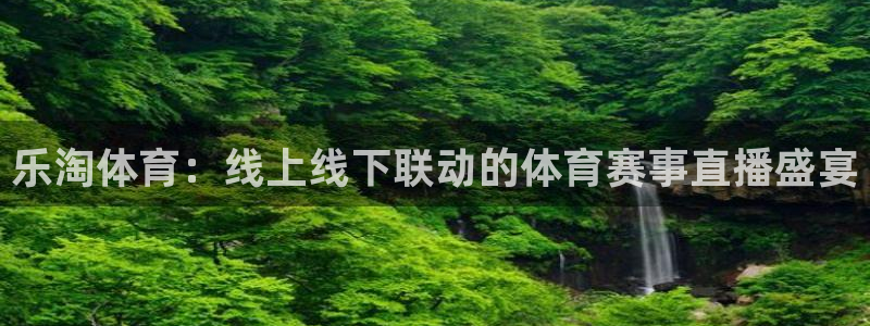 体育直播919：乐淘体育：线上线下联动的体育赛事直播盛宴