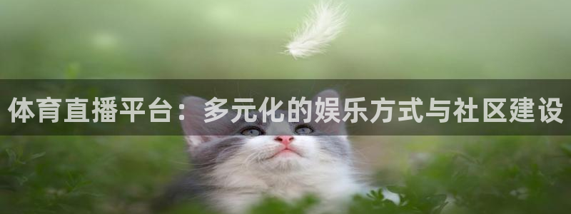 919看球直播官网入口：体育直播平台：多元化的娱乐方式与社区建设