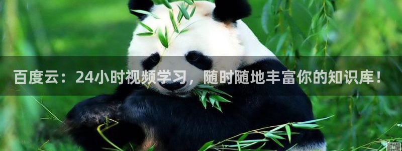 919直播在线看球：百度云：24小时视频学习，随时随地丰富你的知识库！
