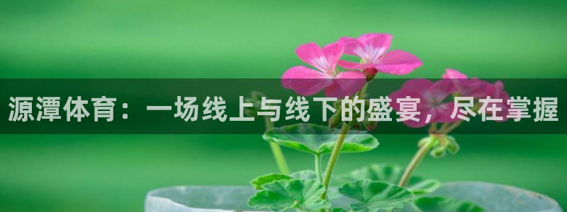 919看球直播：源潭体育：一场线上与线下的盛宴，尽在掌握