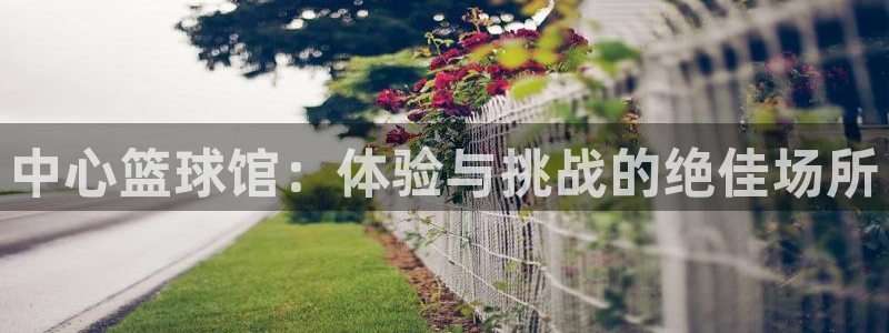 919直播足球版本1.0.7：中心篮球馆：体验与挑战的绝佳场所