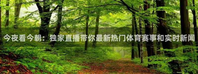 919球赛直播：今夜看今朝：独家直播带你最新热门体育赛事和实时新闻