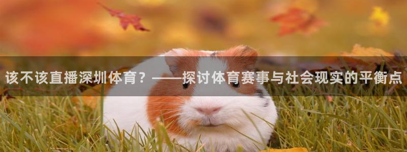 919体育直播平台在线观看：该不该直播深圳体育？——探讨体育赛事与社会现实的平衡点