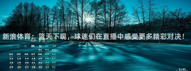 919直播看球下载：新浪体育：篮天下现，球迷们在直播中感受更多精彩对决！