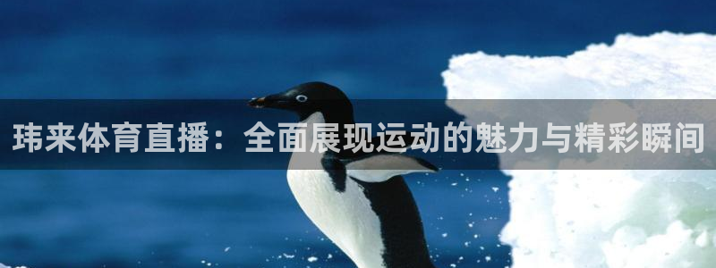 919直播间官网：玮来体育直播：全面展现运动的魅力与精彩瞬间