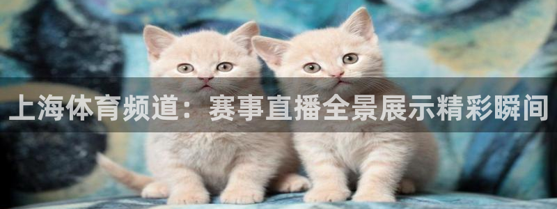 919看球软件：上海体育频道：赛事直播全景展示精彩瞬间