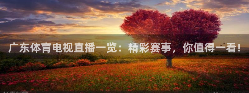 919直播平台官方网站：广东体育电视直播一览：精彩赛事，你值得一看!