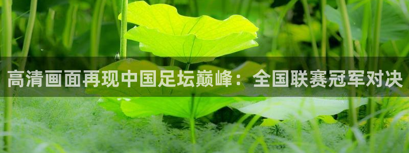919直播看球下载：高清画面再现中国足坛巅峰：全国联赛冠军对决
