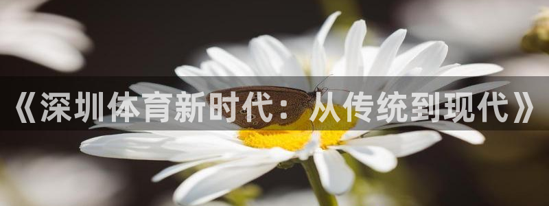 919体育直播高清在线观看：《深圳体育新时代：从传统到现代》