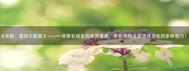 919体育在线直播官网：《中超：篮球大联盟》——一场精彩纷呈的体育盛宴，带你领略全国篮球文化的多样魅力！